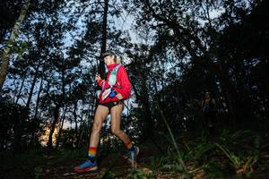 BIB: 188
                            <button type="button" onclick="openModal(22480066)" class="btn btn-primary btn-sm float-right btn-popup" data-toggle="modal" data-target=".modal-high-quality">
                        <i class="fas fa-shopping-cart"></i> Add to Cart
                    </button>
                                            <button type="button" onclick="isThisMe(22480066, true)" class="btn btn-success btn-sm float-right btn-popup btn-isme hidden" data-toggle="tooltip" data-placement="bottom" title="นี่คือรูปของคุณใช่ไหม คลิกที่นี่เพื่อเอาเข้าอัลบั้ม">
                        <i class="fas fa-plus"></i> Add to album
                    </button>
                    <button type="button" onclick="isThisMe(22480066, false)" class="btn btn-warning btn-sm float-right btn-popup btn-isnotme hidden">
                        <i class="fas fa-ban"></i> Remove from album
                    </button>